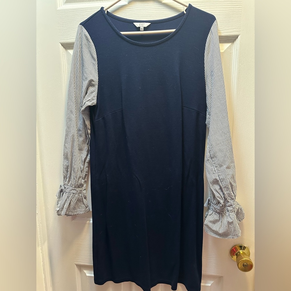 Crown and Ivy dress